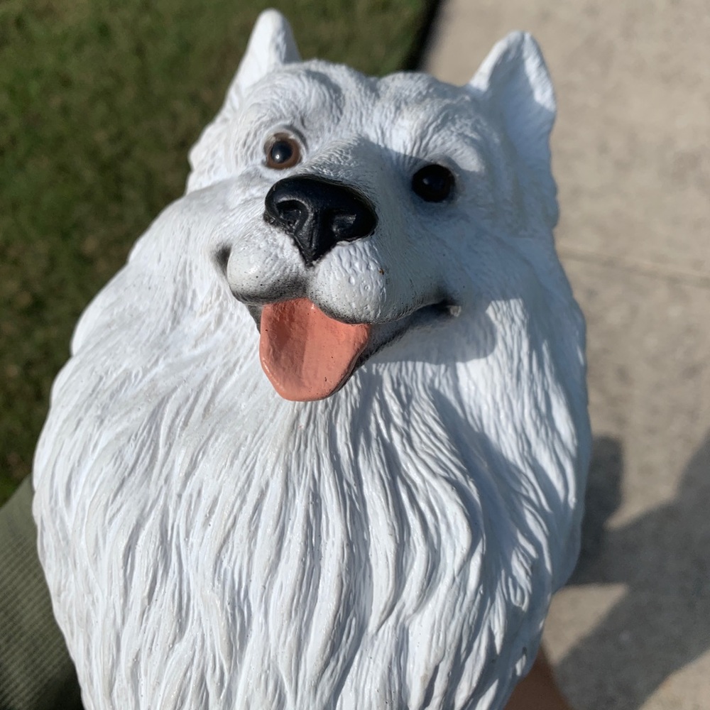 Plant mamas plantie plants - aka ppp